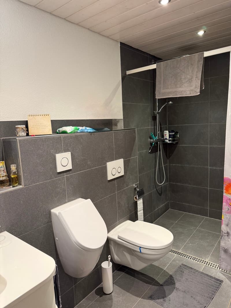 Charming semi-detached house with 2 apartments in a quiet location in Oberburg (11)
