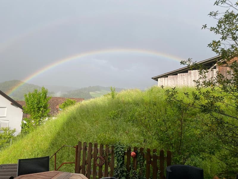 Charming semi-detached house with 2 apartments in a quiet location in Oberburg (1)