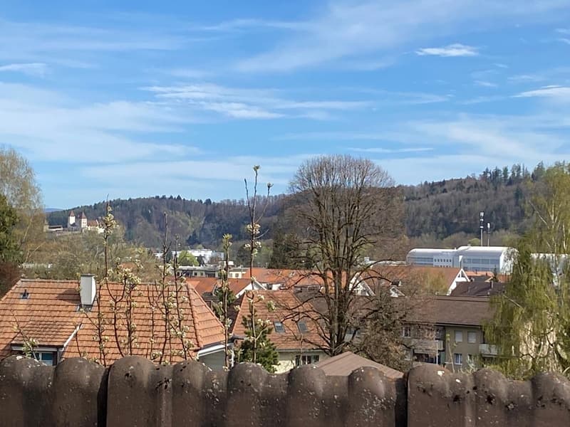 Charming semi-detached house with 2 apartments in a quiet location in Oberburg (28)