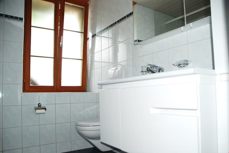 Living in Paradise - 3.5 Room Stöckli Apartment with Private Garden (14)