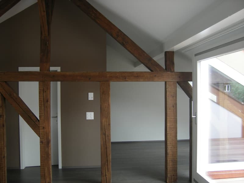 Charmante Loft-Wohnung mit sonniger Terrasse (7)