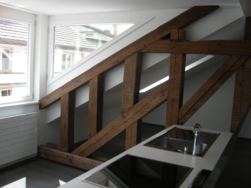 Charmante Loft-Wohnung mit sonniger Terrasse (2)