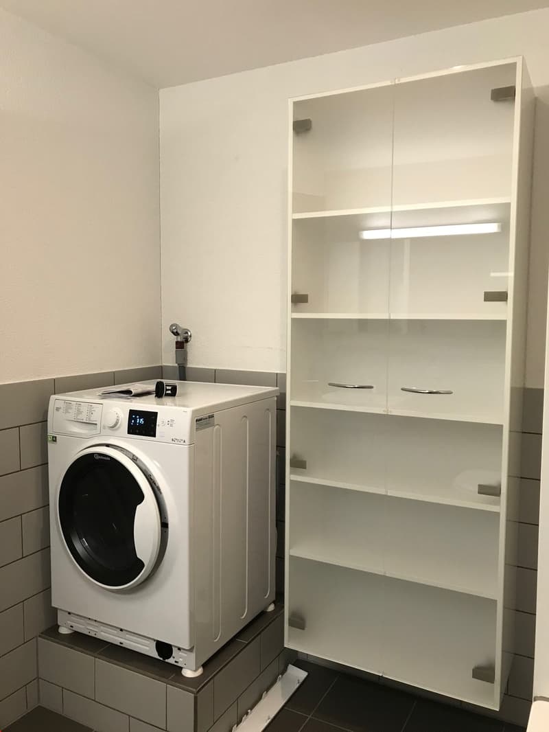 Charmante Loft-Wohnung mit sonniger Terrasse (10)