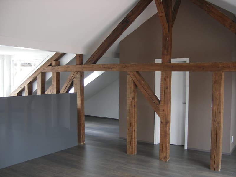 Charmante Loft-Wohnung mit sonniger Terrasse (1)