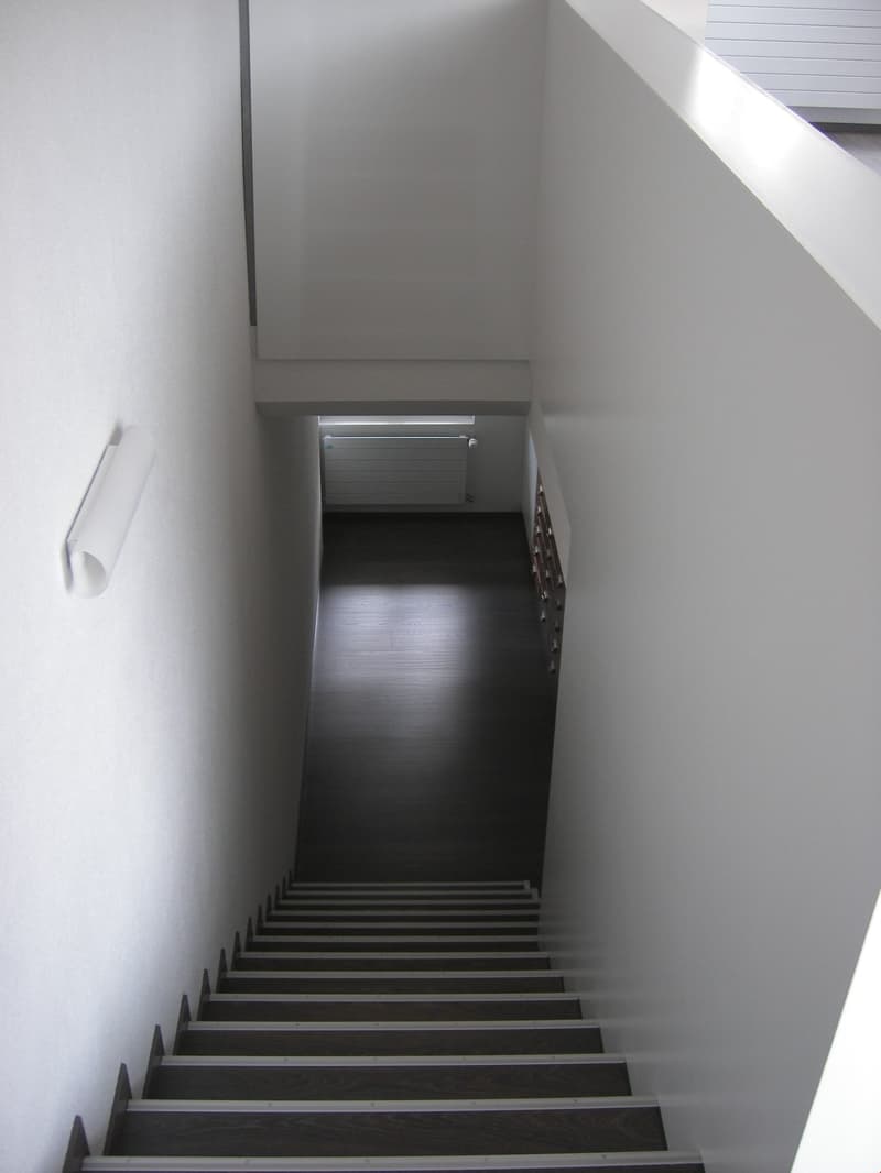 Charmante Loft-Wohnung mit sonniger Terrasse (15)