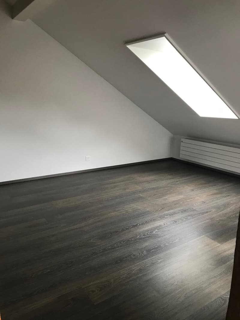 Charmante Loft-Wohnung mit sonniger Terrasse (8)