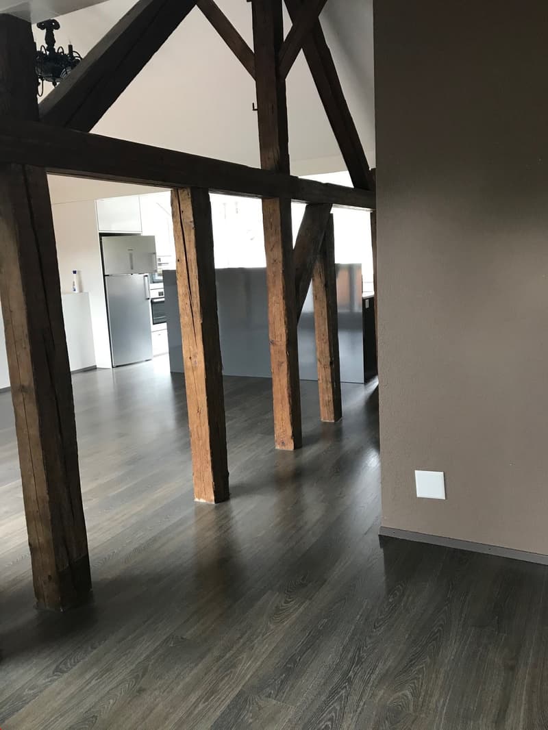 Charmante Loft-Wohnung mit sonniger Terrasse (6)