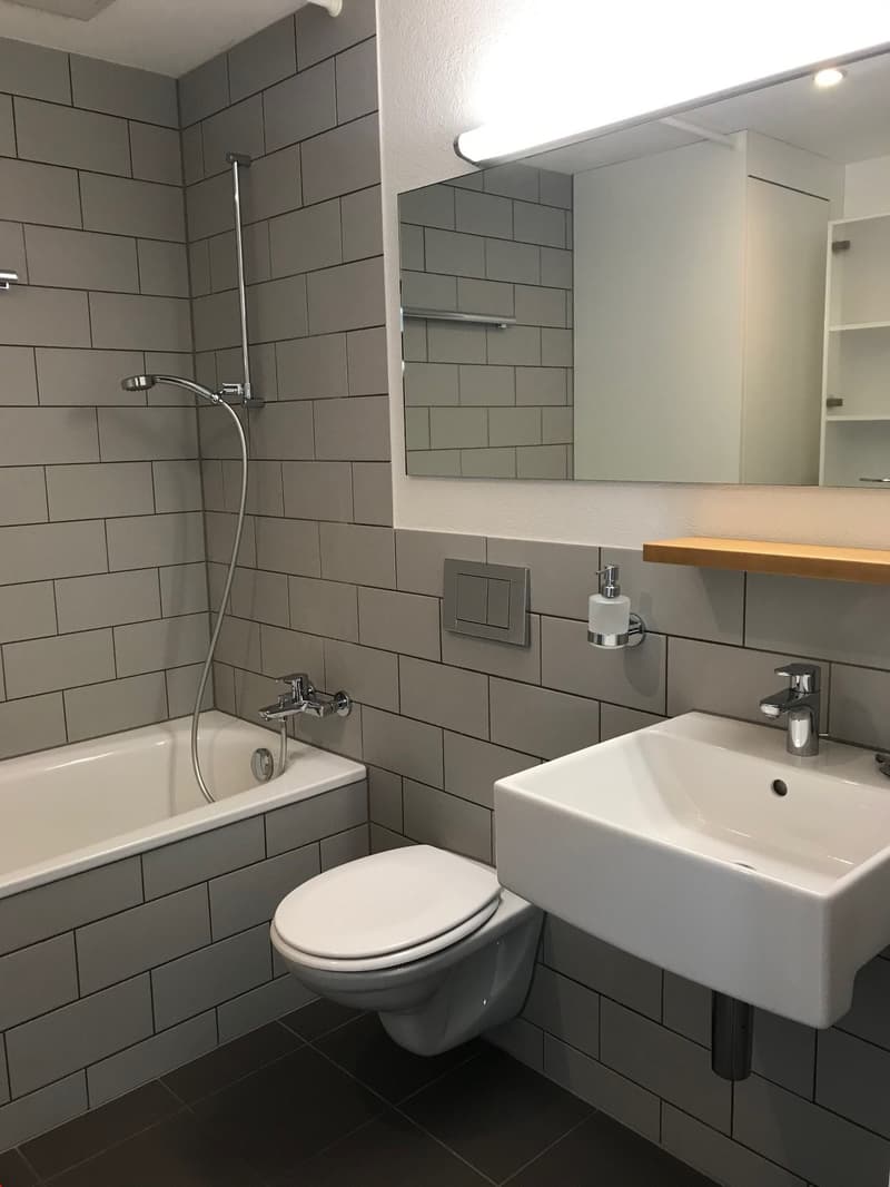 Charmante Loft-Wohnung mit sonniger Terrasse (9)