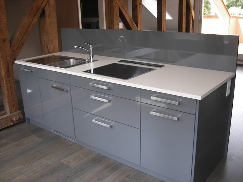 Charmante Loft-Wohnung mit sonniger Terrasse (3)