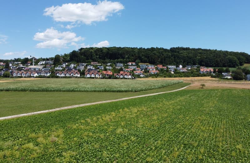 Moderne 4.5-Zimmer-Wohnung mit 2 Balkonen und schöner Aussicht in Affoltern am Albis (7)