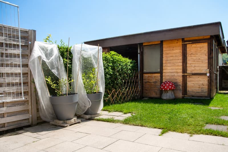 Maison de rang familiale, rénovée, 4,5 pièces à Niederwangen (Köniz) (3)