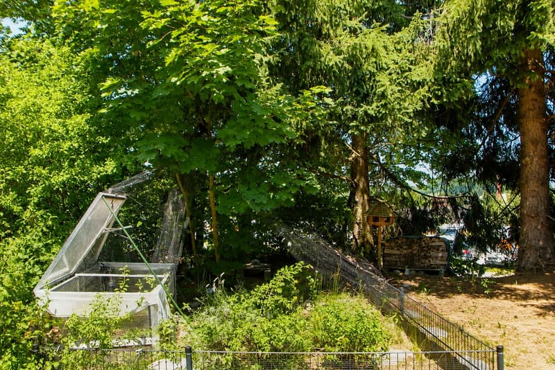 Maison de rang familiale, rénovée, 4,5 pièces à Niederwangen (Köniz) (5)