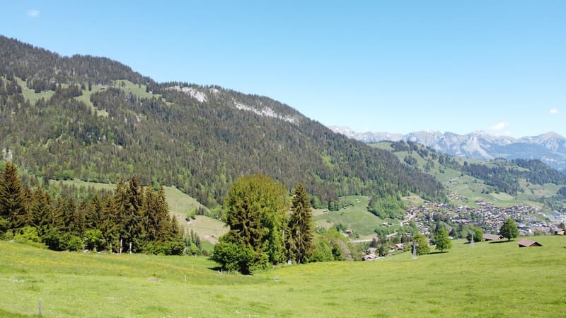 Fantastic building land plot 990 m2 for new construction of single or semi-detached house (6)