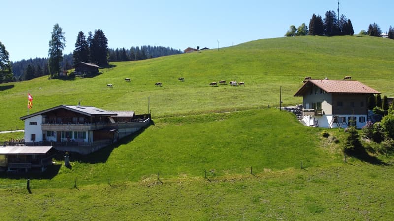 Fantastic building land plot 990 m2 for new construction of single or semi-detached house (3)