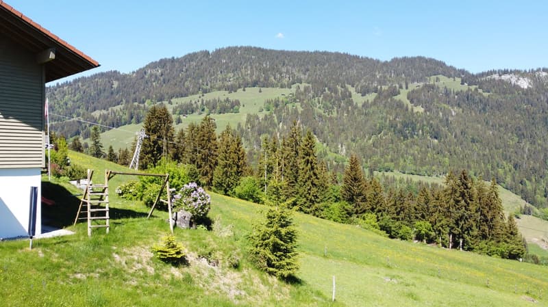 Fantastic building land plot 990 m2 for new construction of single or semi-detached house (5)