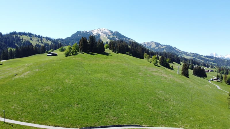 Fantastic building land plot 990 m2 for new construction of single or semi-detached house (9)