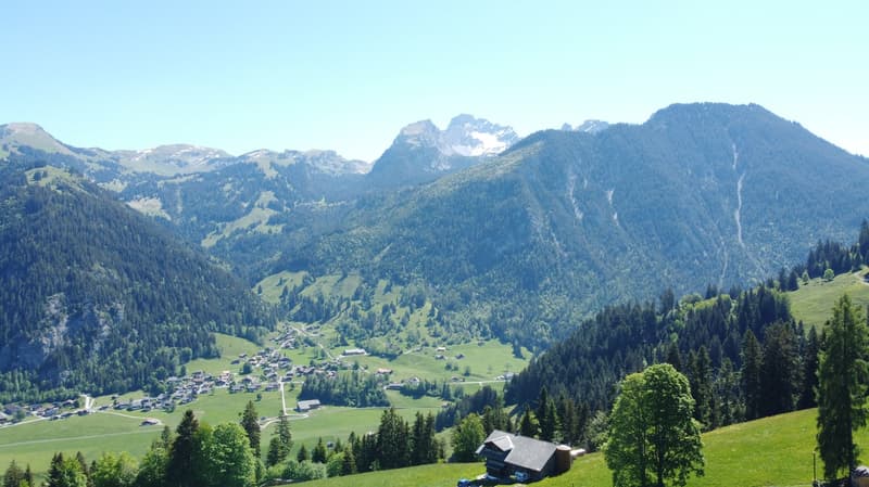 Fantastic building land plot 990 m2 for new construction of single or semi-detached house (8)