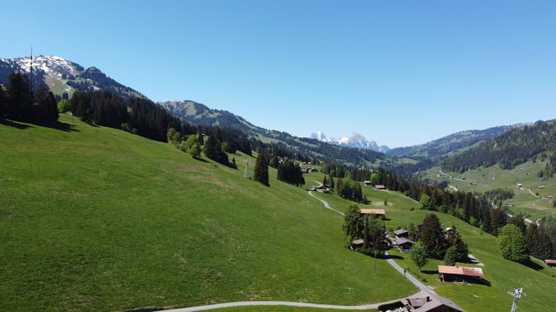 Fantastic building land plot 990 m2 for new construction of single or semi-detached house (10)