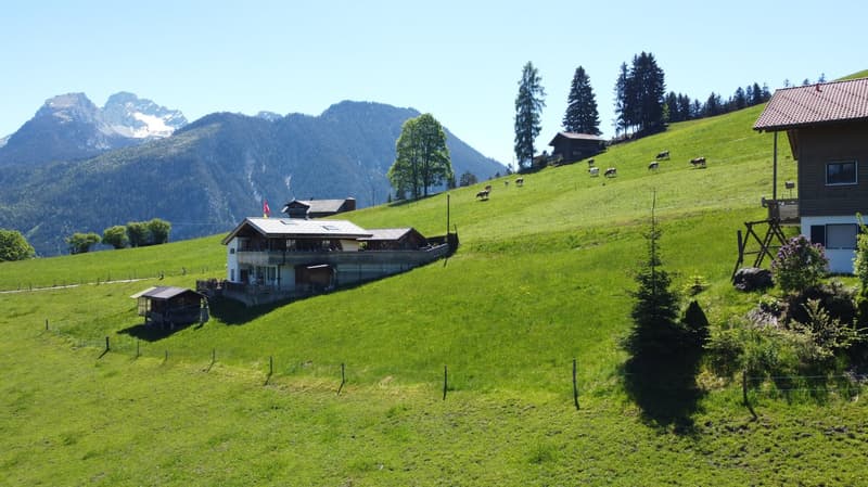 Fantastic building land plot 990 m2 for new construction of single or semi-detached house (4)
