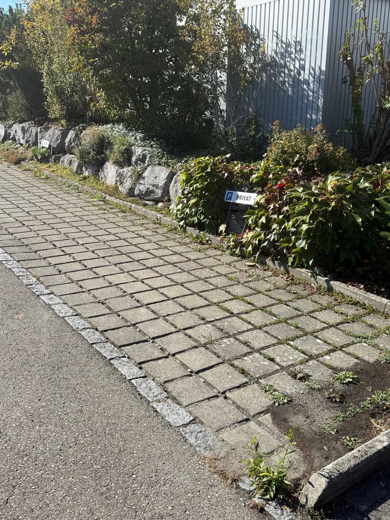 5.5-Zimmer-Reihenmittelhaus in Niederscherli – sonnig + kinderfreundlich (27)