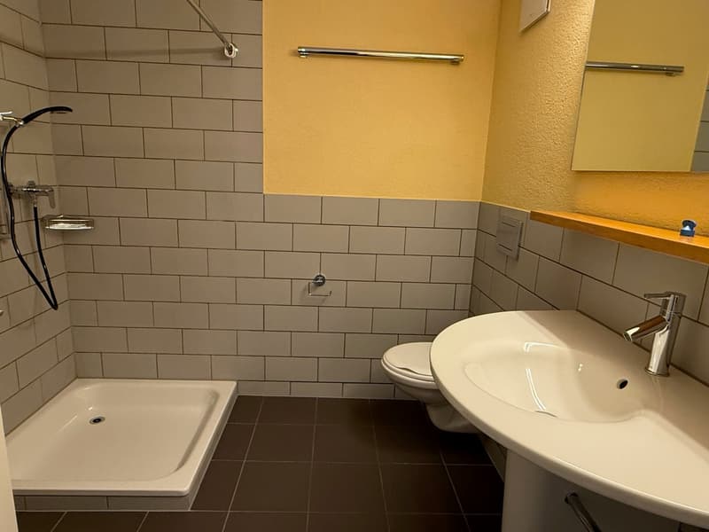 Charmante 3.5-Zimmer-Wohnung an zentraler Lage in Burgdorf (9)