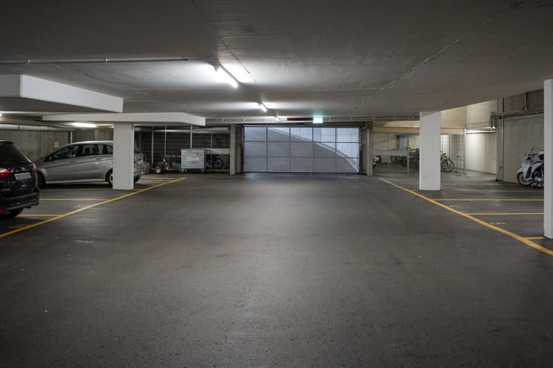 Place de parking en vente à Dachsen (6)