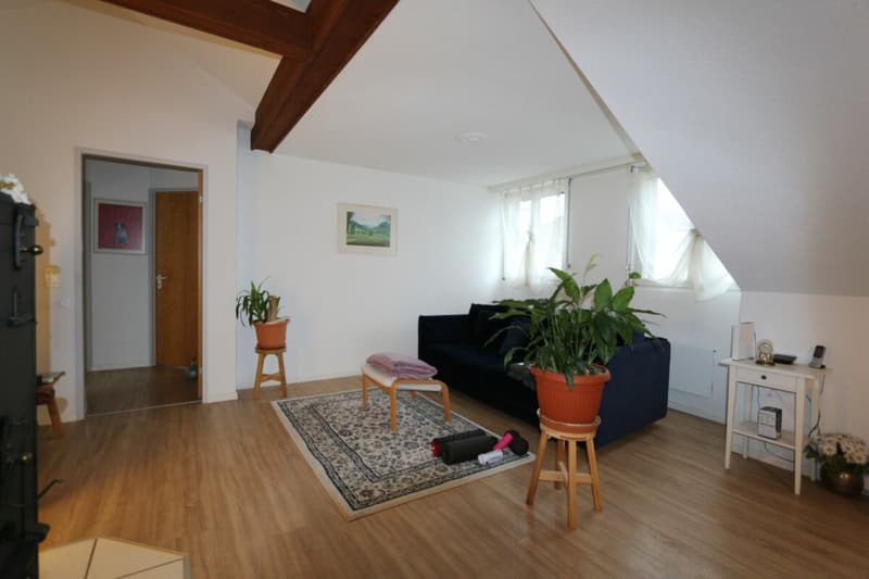 3.5 Zimmer- Dachgeschosswohnung mit 93m2 Wohnfläche! (1)