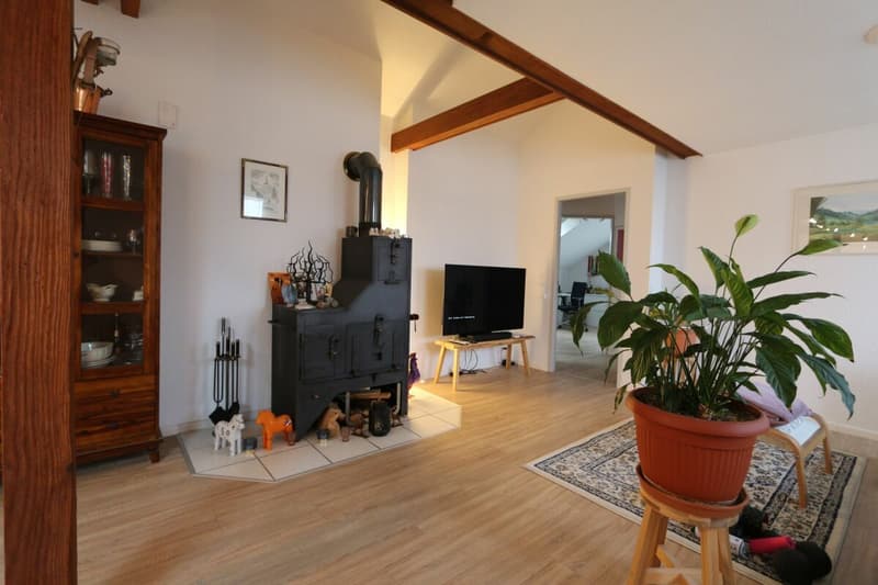 3.5 Zimmer- Dachgeschosswohnung mit 93m2 Wohnfläche! (4)
