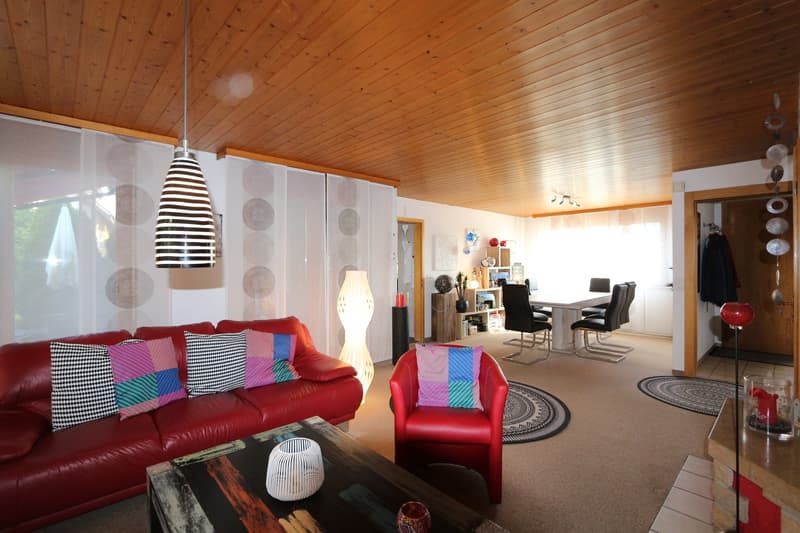 Une maison de 5,5 pièces accueillante avec salle de loisirs, garage et environnement idyllique (3)