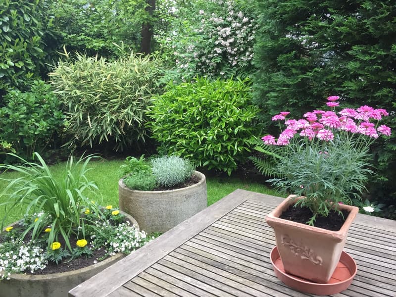 Charming 4.5-room single-family house in Oberwil (11)
