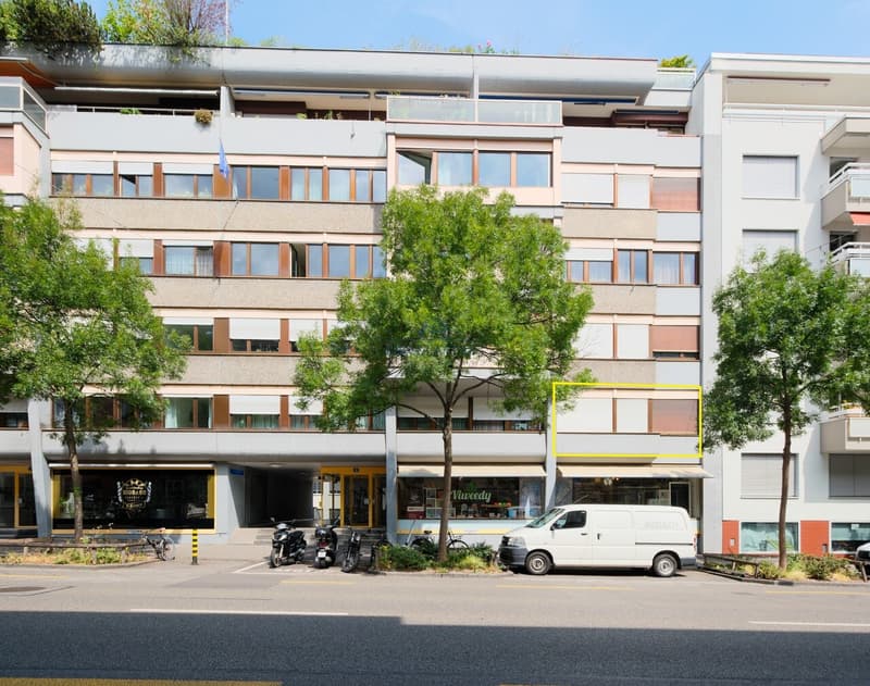 Charming 3.5-room apartment just a stone's throw from the idyllic Rhine (2)