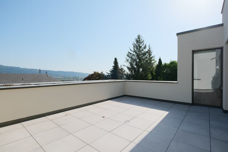 Terrasse Eingang Wohnzimmer / Terrace and living room entrance