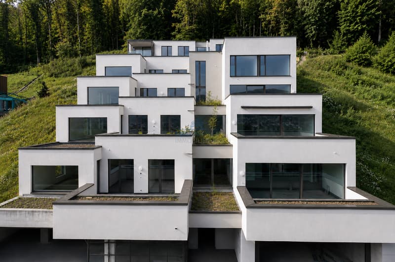 Aussenansicht / Exterior View