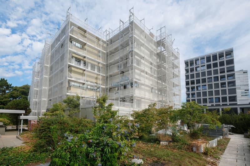 Wohnhausansicht / Residential Building View