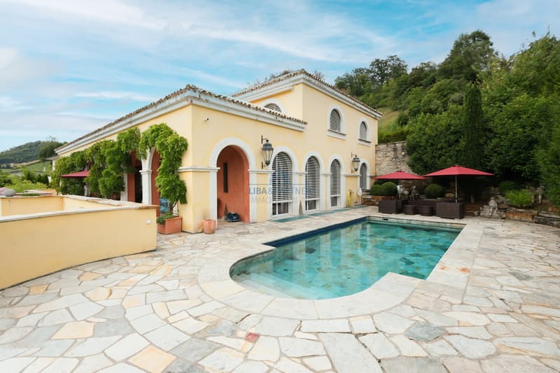 Aussenansicht Pool / Exterior view of the pool