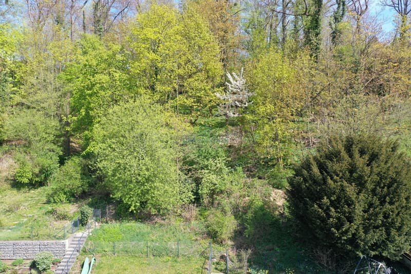 Bruderholz: Exklusive Design-Attikawohnung mit Panoramablick (10)