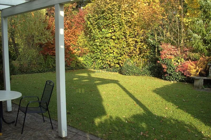 Garten / Garden