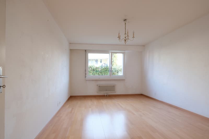 Zimmer  / Room