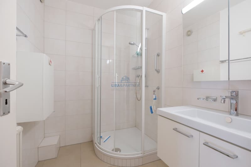 Badezimmer mit DU  / Bathroom with shower
