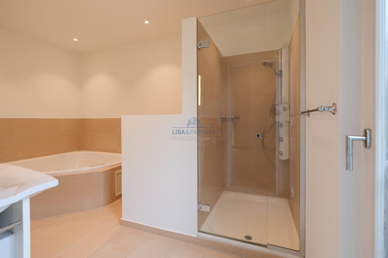 Badezimmer mit Whirlpool, DU & WC  / Bathroom with whirlpool tub, shower, and toilet