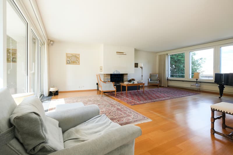 Wohnzimmer / Living Room