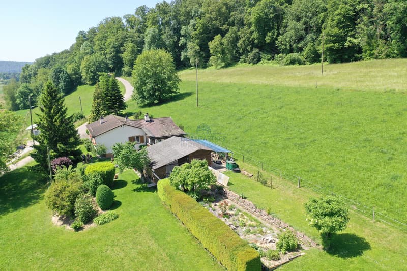 Hausansicht  / House view