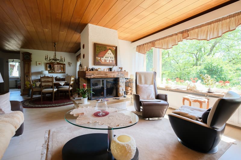 Wohnzimmer  / Living room