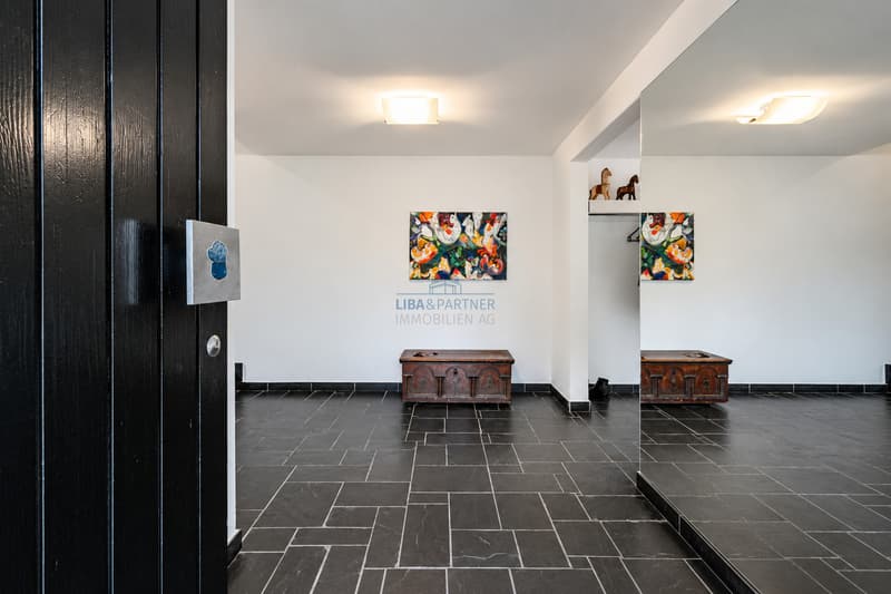 Eingangsbereich / Entrance Area