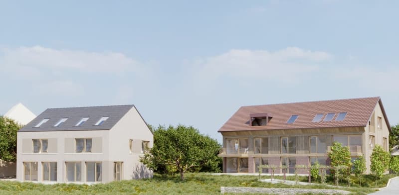 *Advance Announcement New Construction Project* Semi-detached house and multi-family house in Sutz (3)