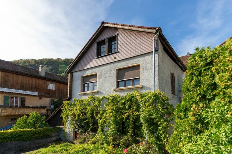 Liegenschaft mit Seezugang (5)