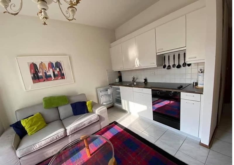 The image shows a studio apartment with an open-plan layout. The kitchen area features white cabinets, a built-in oven, and a tiled backsplash. The living area has a gray sofa with colorful throw pillows, a coffee table, and a framed artwork on the wall.