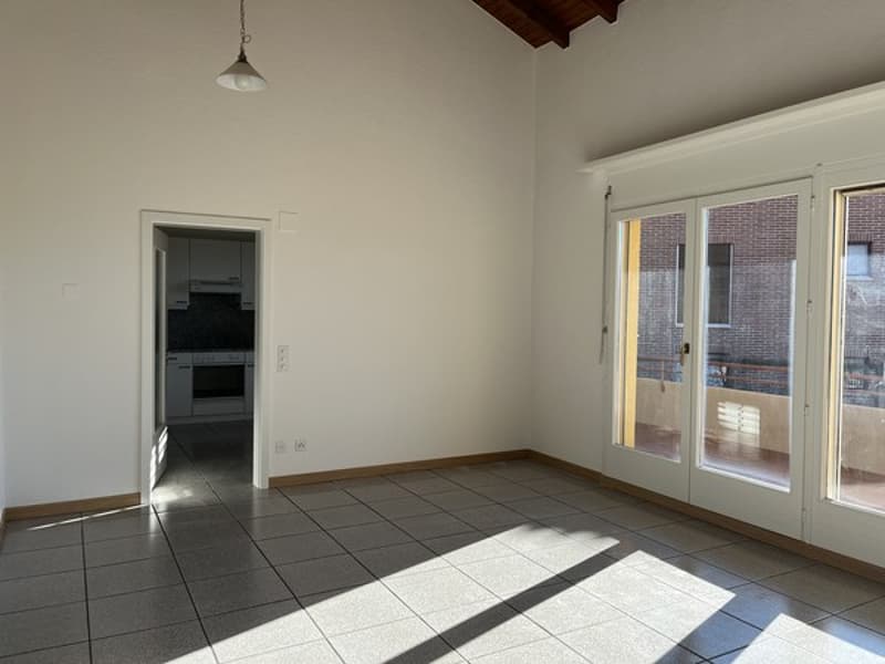 Affittiamo appartamento duplex 6.5 locali con grande balcone (3)