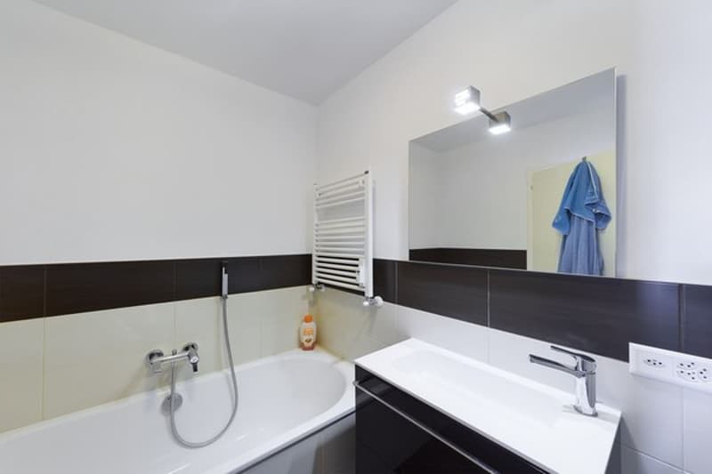 Nous vendons un appartement 4.5 pièces avec piscine condominiale (9)