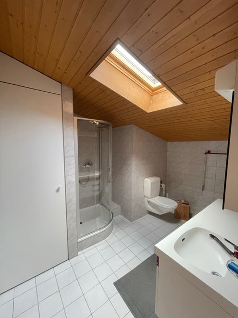 Nous vendons une maison tessinoise avec 2 appartements (9)